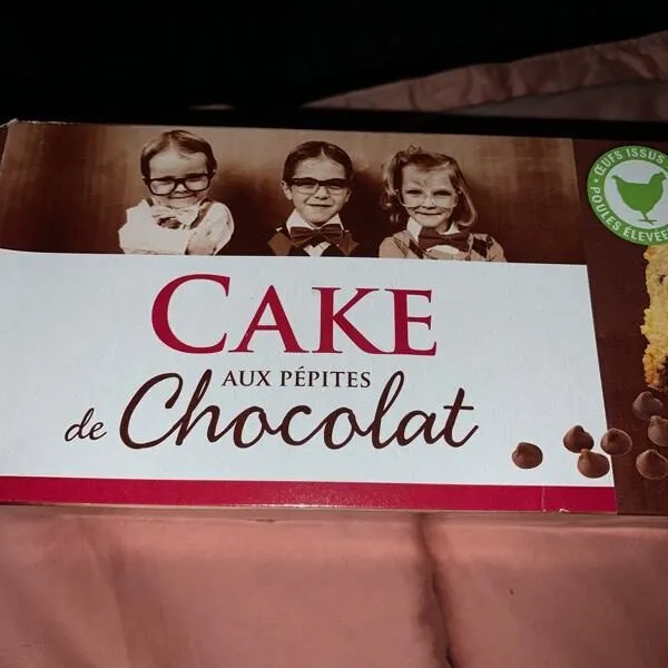 Cake aux pépites de chocolat