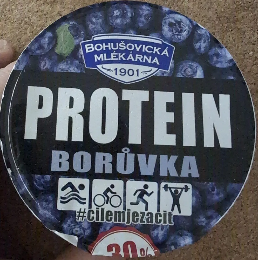 Protein Yogurt (Blueberry)