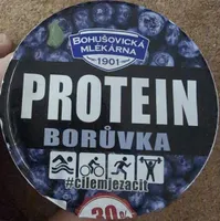 Protein Yogurt (Blueberry)