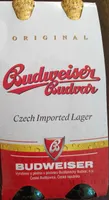 Czech Imported Lager
