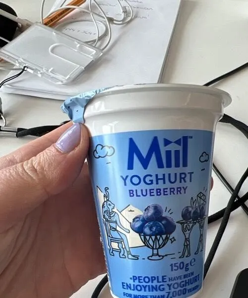 Yoghurt Blueberry