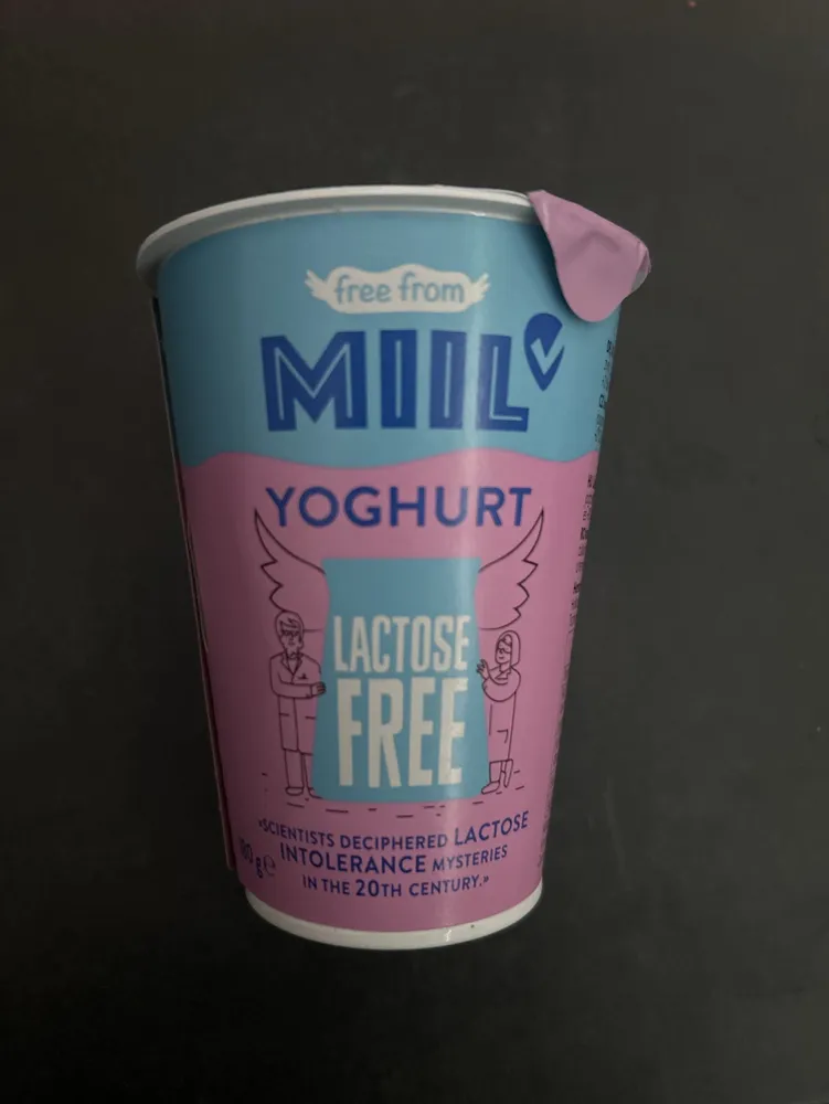 Joghurt laktosefrei
