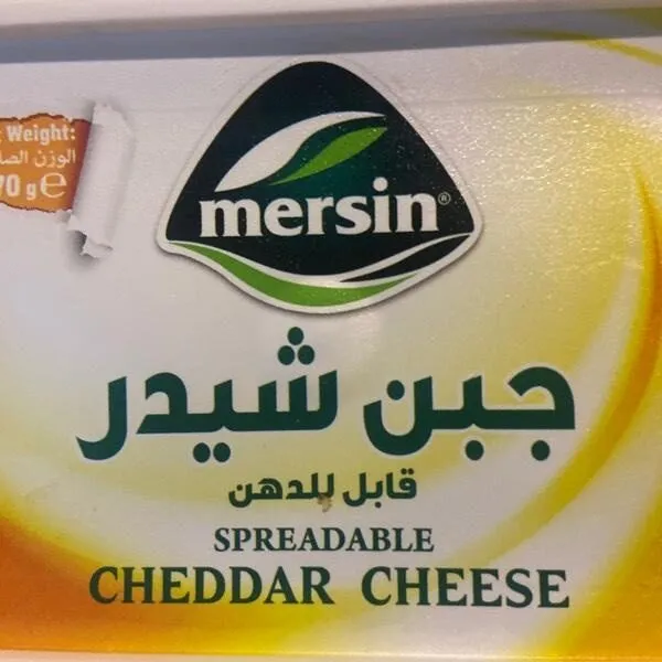 Mersin جبن شيدر