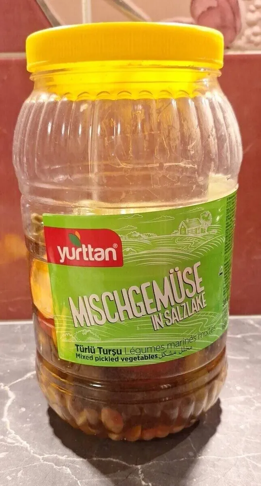 Turlu Tursu