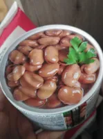 Classic fava beans