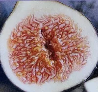 Feigen getrocknet