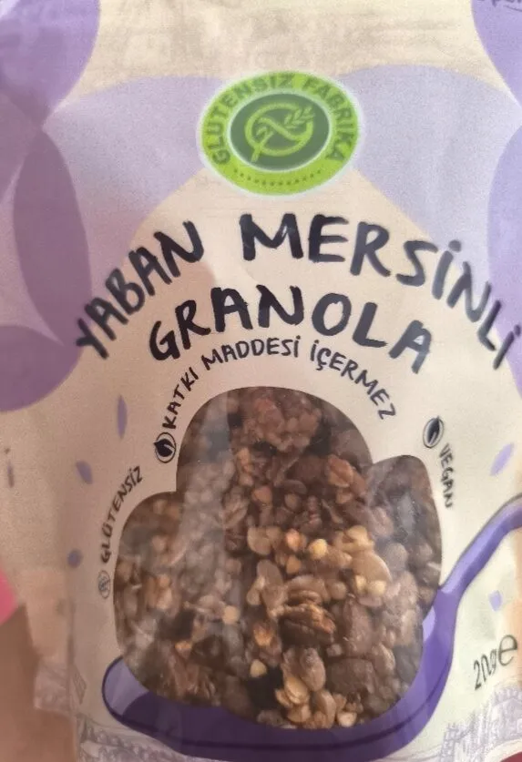 Yaban Mersinli Granola