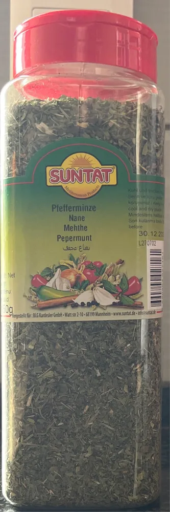 Pfefferminze