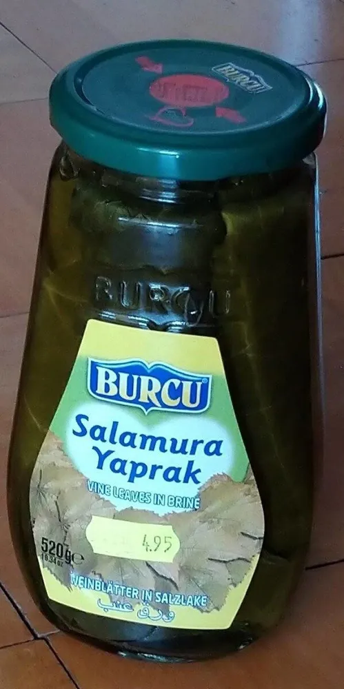 Weinblätter in Salzlake