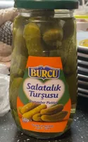 Salatalik Tursusu