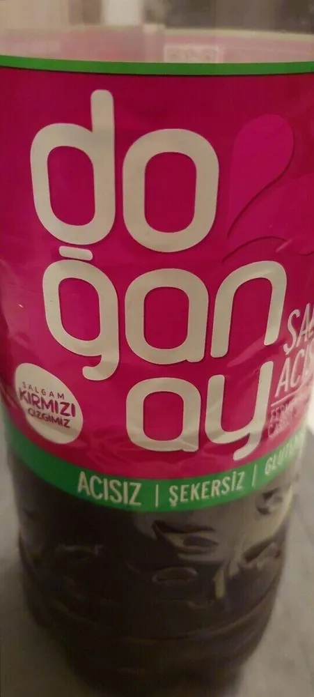 Salgam suyu acisiz