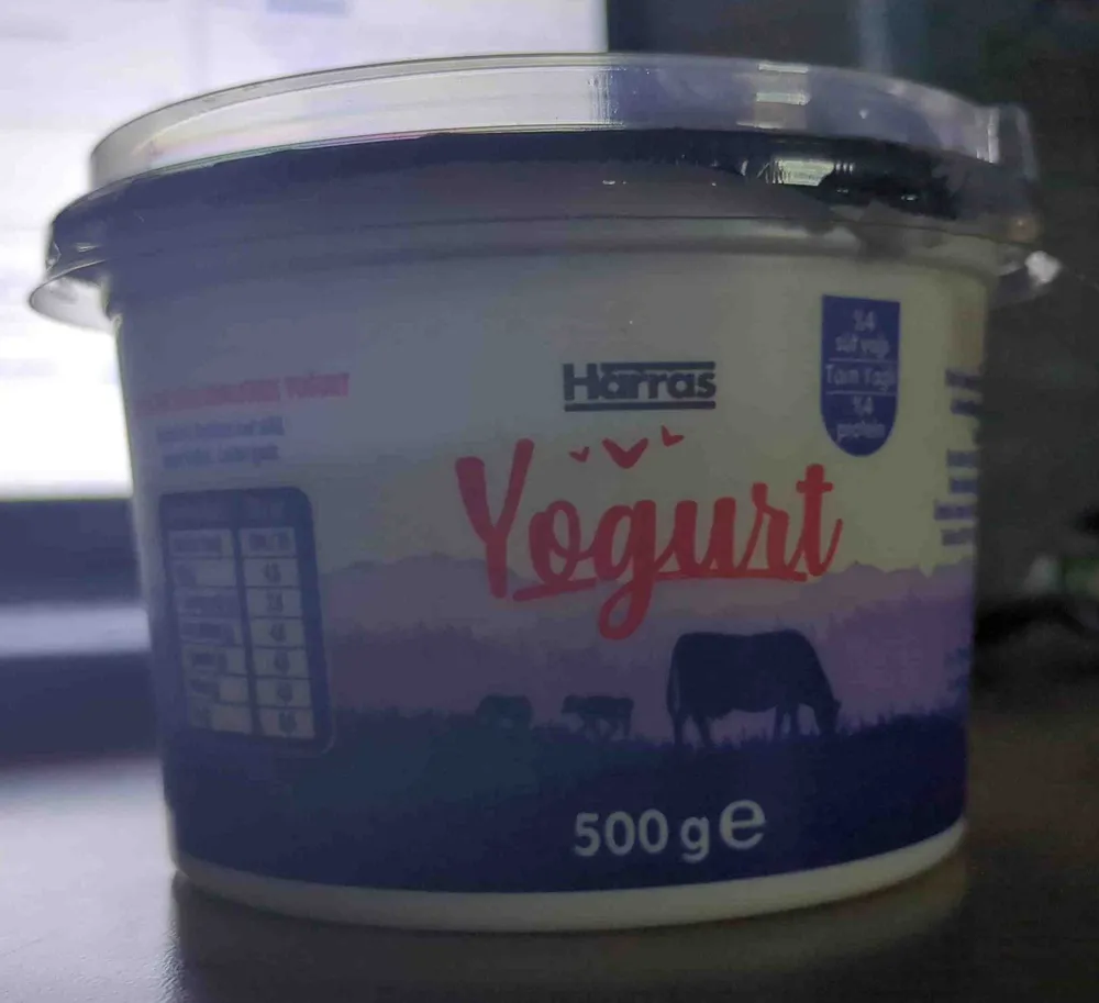 Tam Yağlı Homojenize Yoğurt