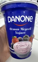 Orman Meyveli Yogurt