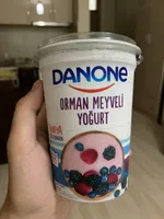 Orman meyveli yoğurt