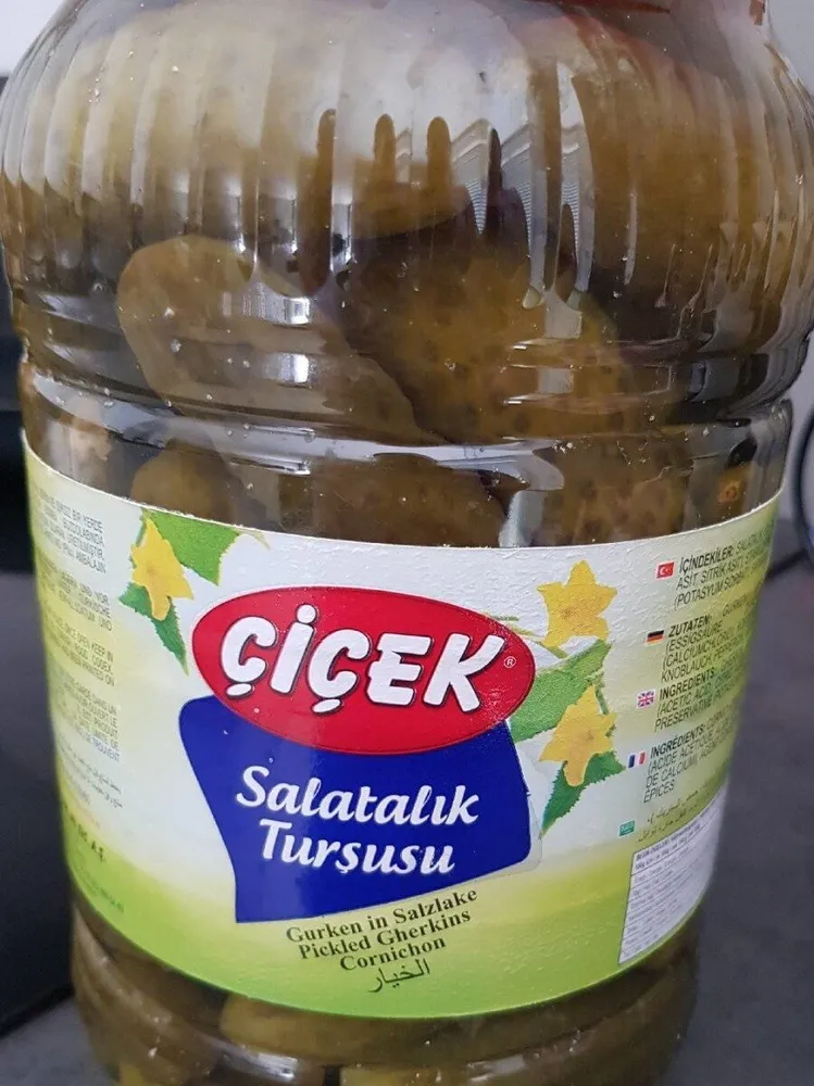 Salatalik tursusu