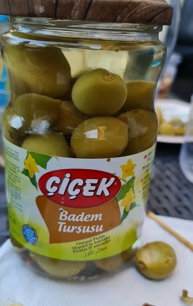 Baden Tursusu