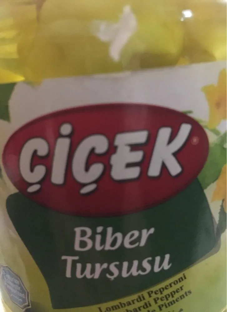 Biber tursusus