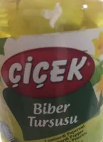 Biber tursusus