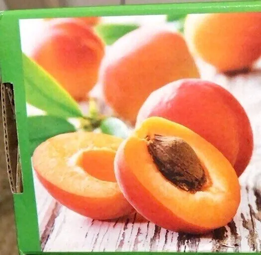 Dried Apricots