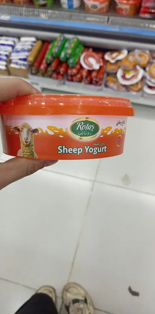 Sheep yogurt