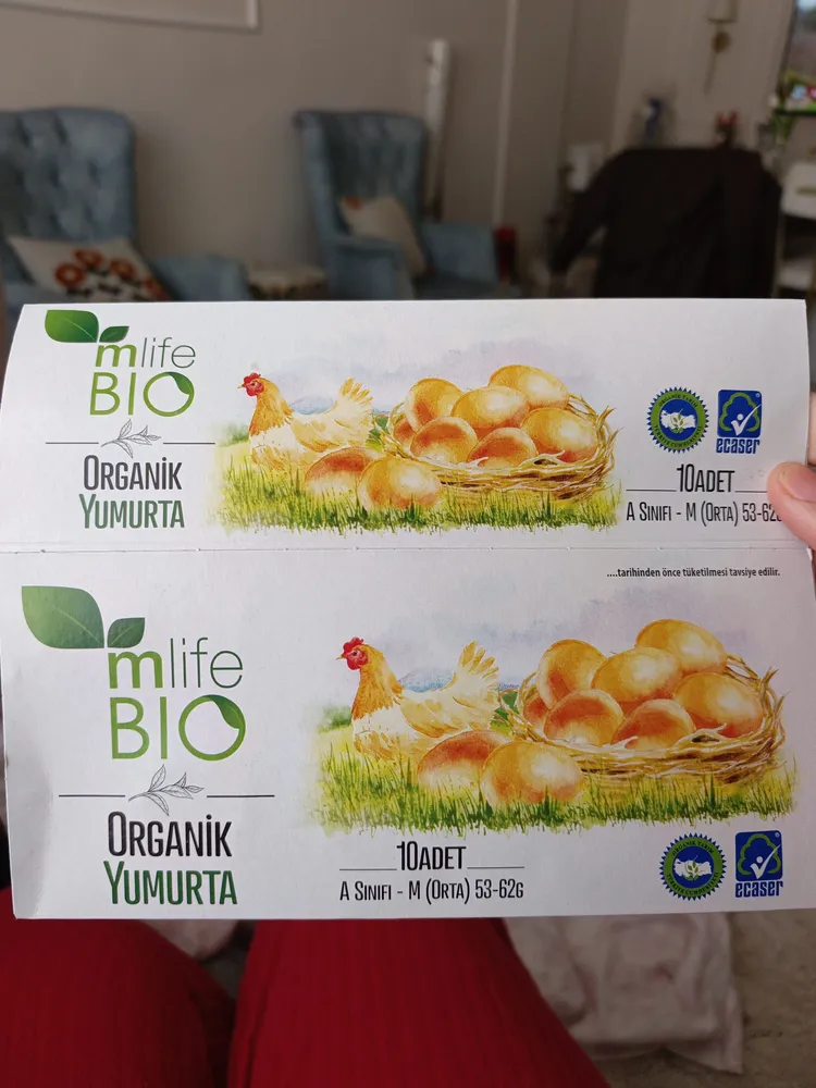 10  Bio Organic Yumurta