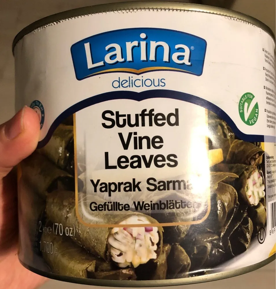 Stuffed vine leaves yaprak sarma gefüllte weinblätter
