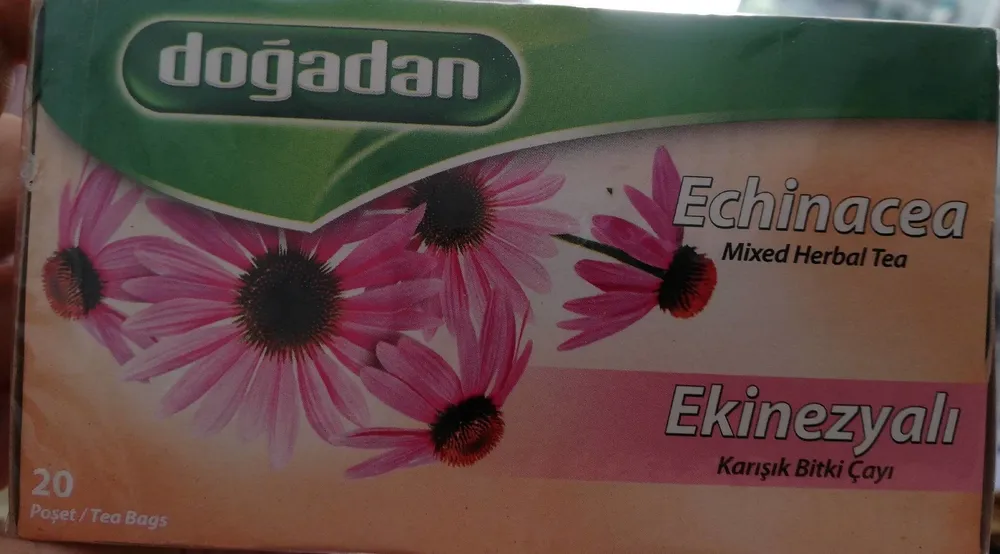 Echinacea