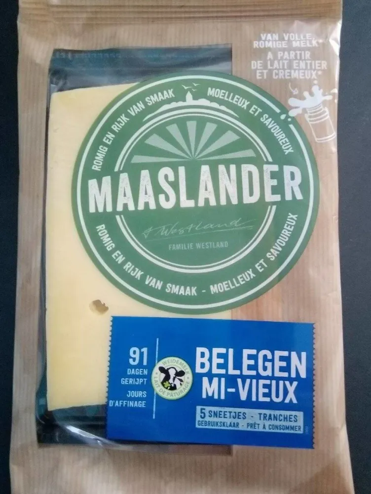 Maaslander