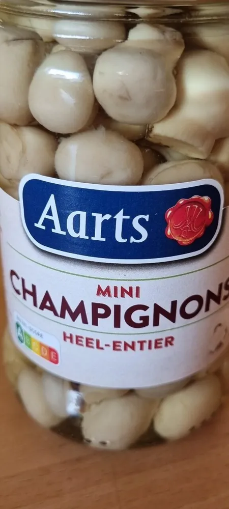 Mini Champignons