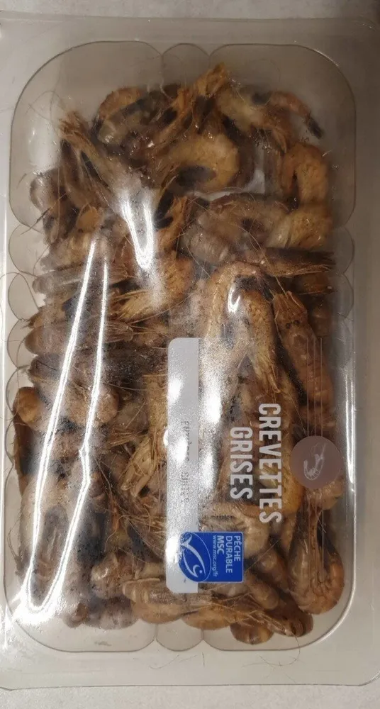 Crevettes Grises