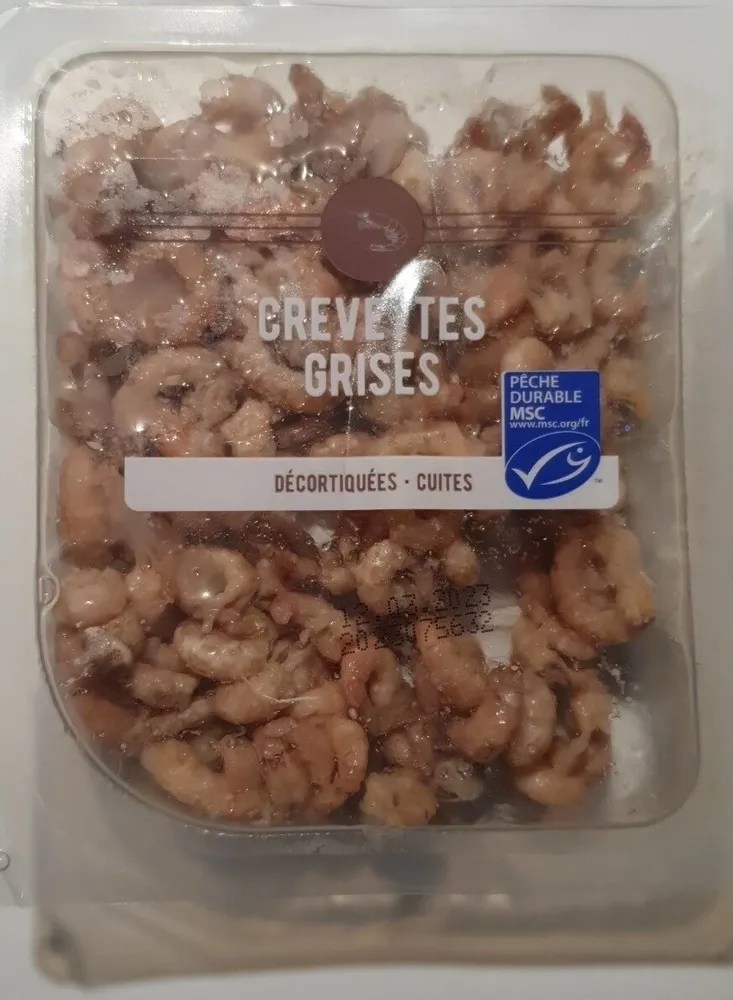 Crevette grises