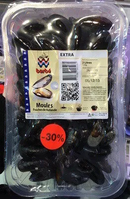 Moules fraîches de Hollande extra