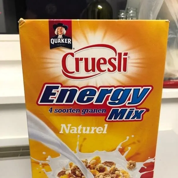Energy Mix Natural