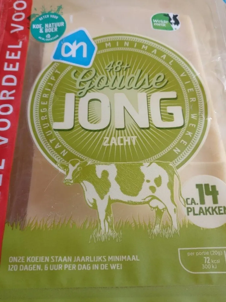 48+ Goudse jong