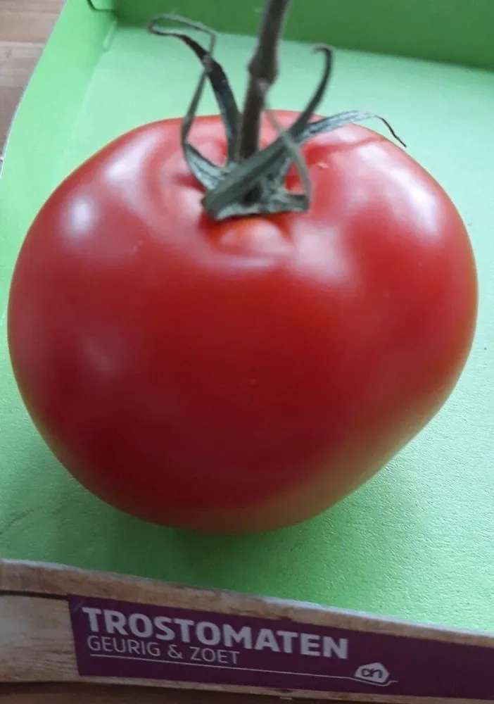 Trostomaten
