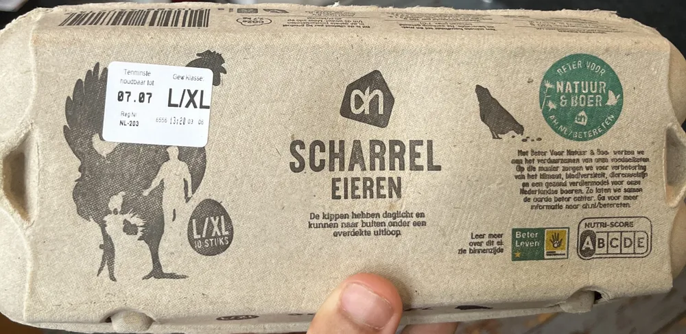 Scharreleieren L/XL