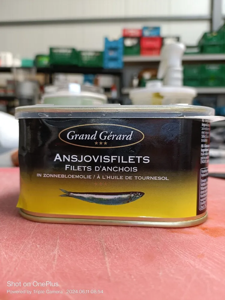 Ansjovisfilets
