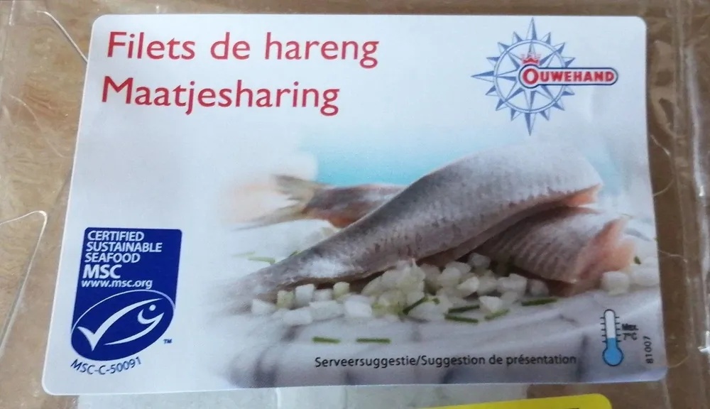 Filets de harengs