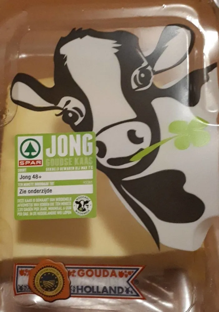Jong