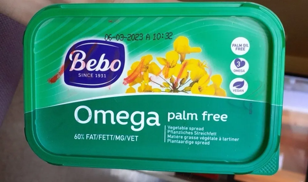 Bebo