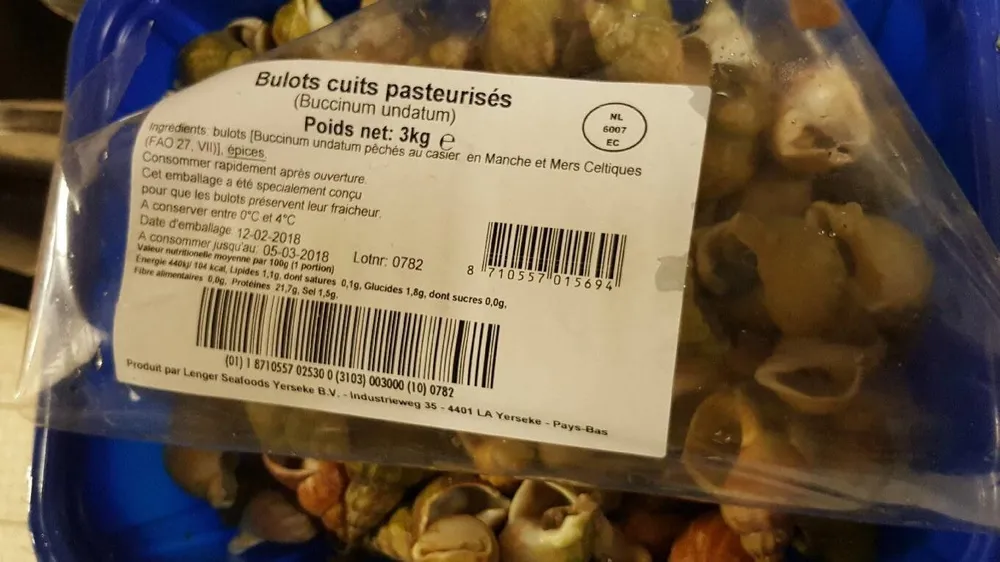 Bulot cuits pasteurisés
