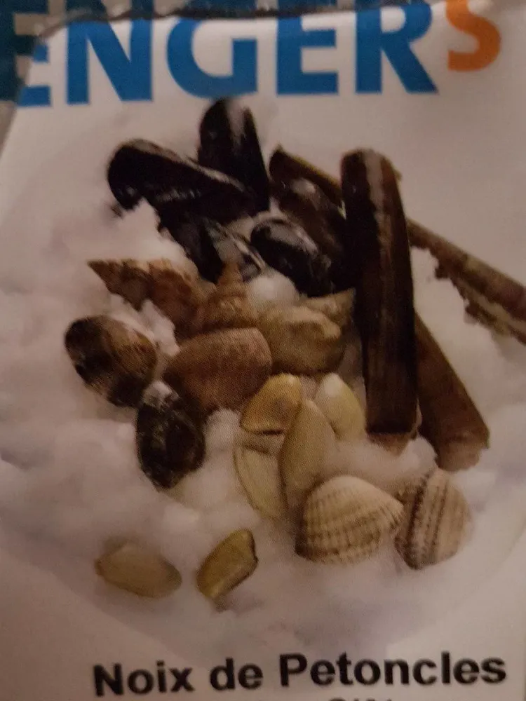 Noix de petoncle