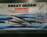 Sardines
