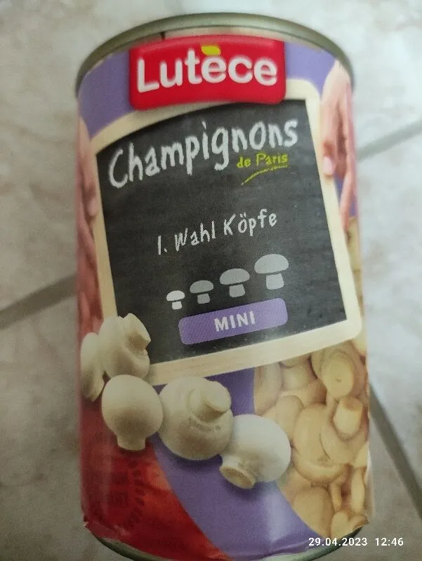 Champignons I.Wahl Mini