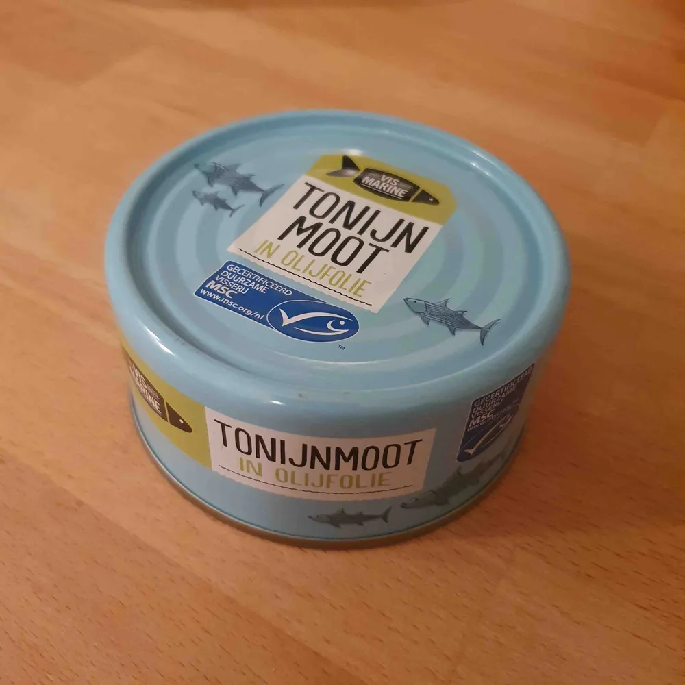 Tonijnmoot in Olijfolie