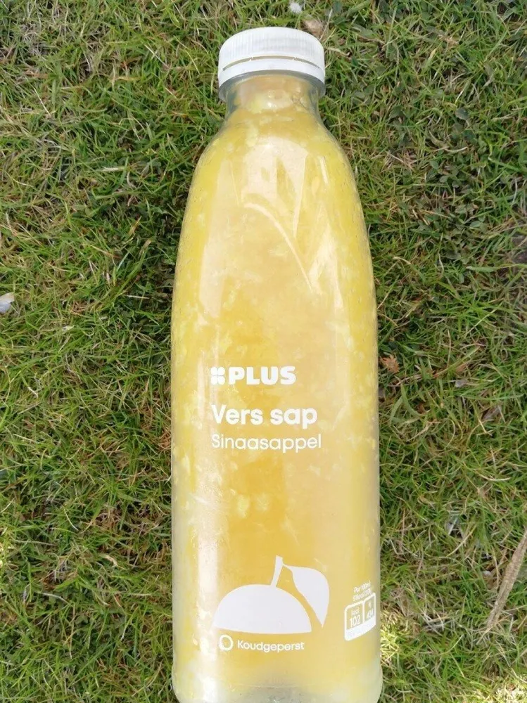 Sinaasappel
