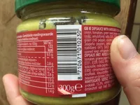 Salsa sauce guacamole style