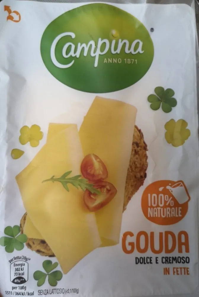 Gouda