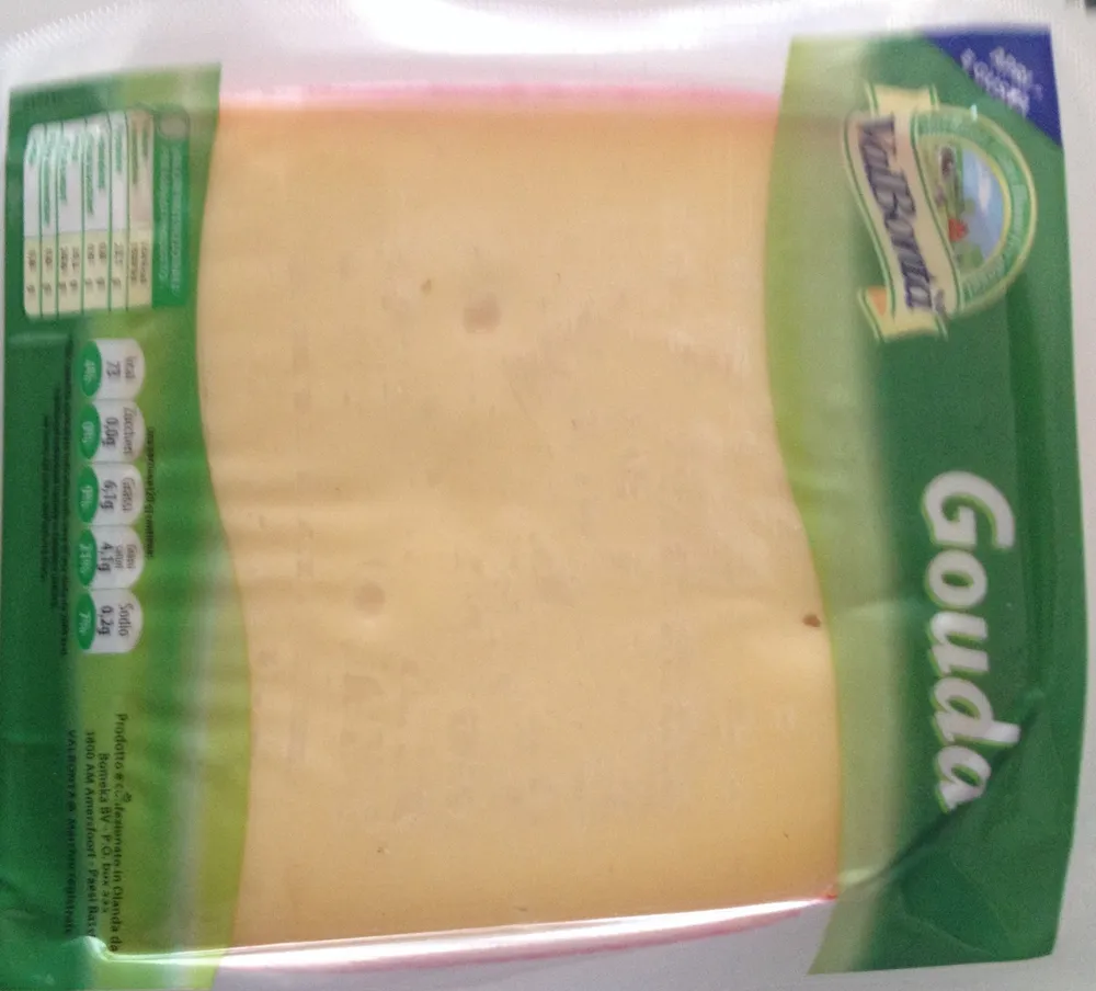 Gouda