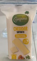 Cheddar Saporito